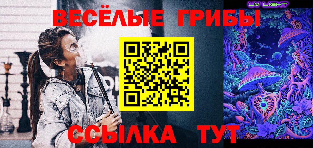 Галлюциногенные грибы Psilocybe Богородицк