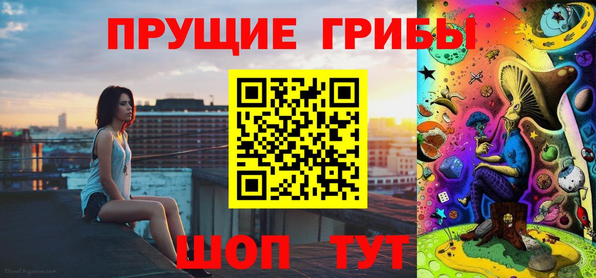 Галлюциногенные грибы прущие грибы  Галлюциногенные грибы MAGIC MUSHROOMS  сколько стоит  Богородицк  Вход с VPN 